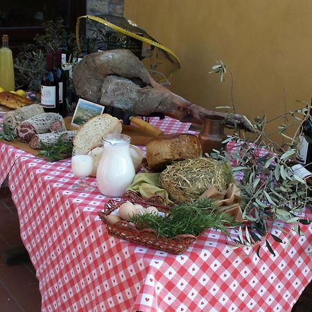 Il Giogo Agriturismo Розиняно Маритимо Екстериор снимка