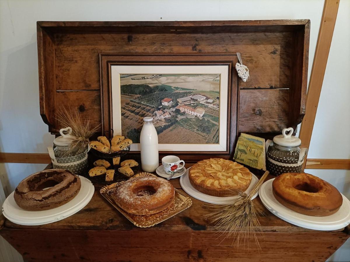 Il Giogo Agriturismo Розиняно Маритимо Екстериор снимка