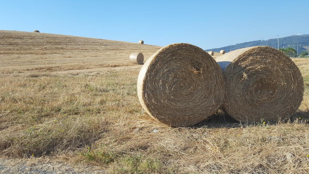 Il Giogo Agriturismo Розиняно Маритимо Екстериор снимка