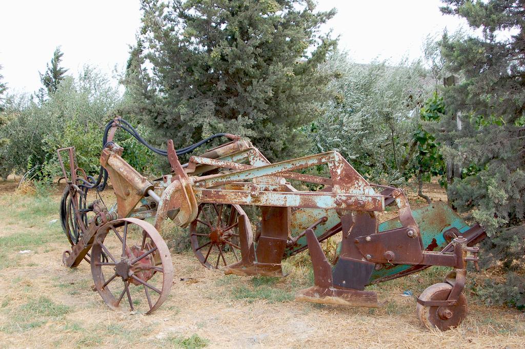 Il Giogo Agriturismo Розиняно Маритимо Екстериор снимка