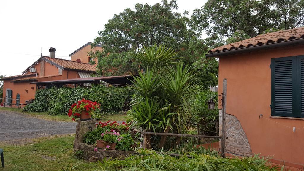 Il Giogo Agriturismo Розиняно Маритимо Екстериор снимка