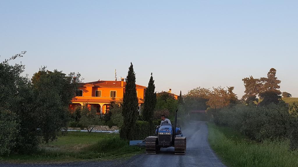 Il Giogo Agriturismo Розиняно Маритимо Екстериор снимка