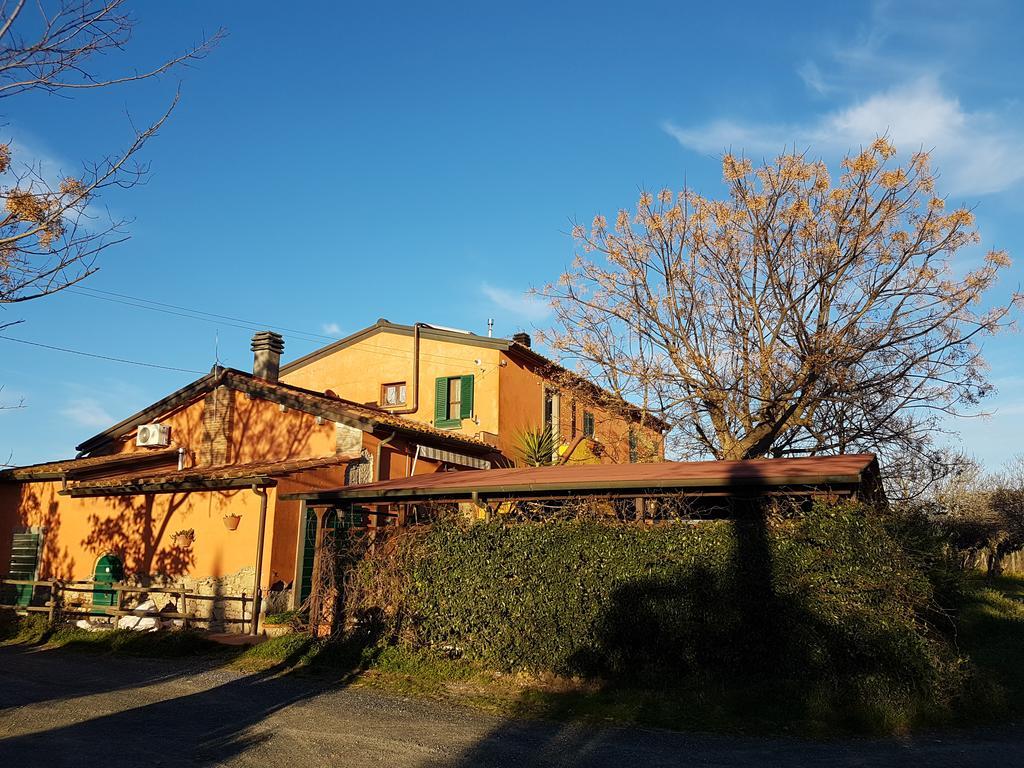 Il Giogo Agriturismo Розиняно Маритимо Екстериор снимка