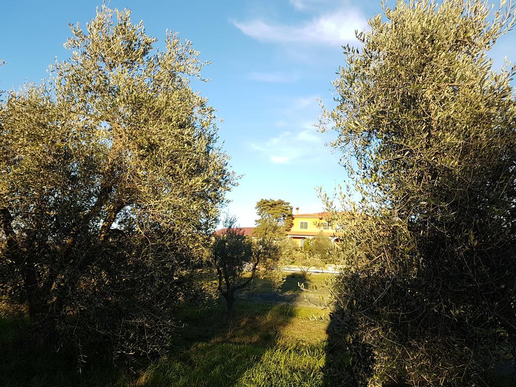 Il Giogo Agriturismo Розиняно Маритимо Екстериор снимка