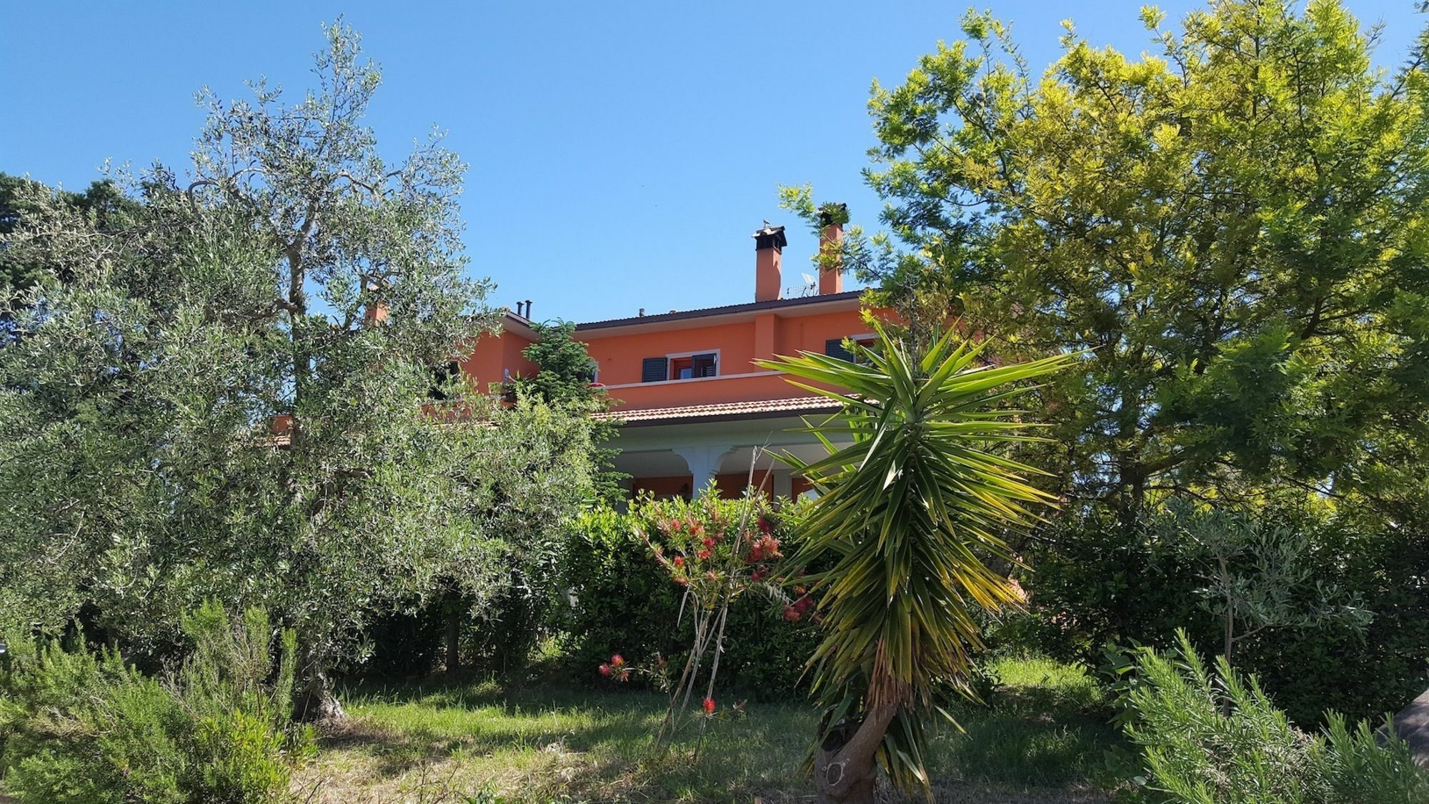 Il Giogo Agriturismo Розиняно Маритимо Екстериор снимка
