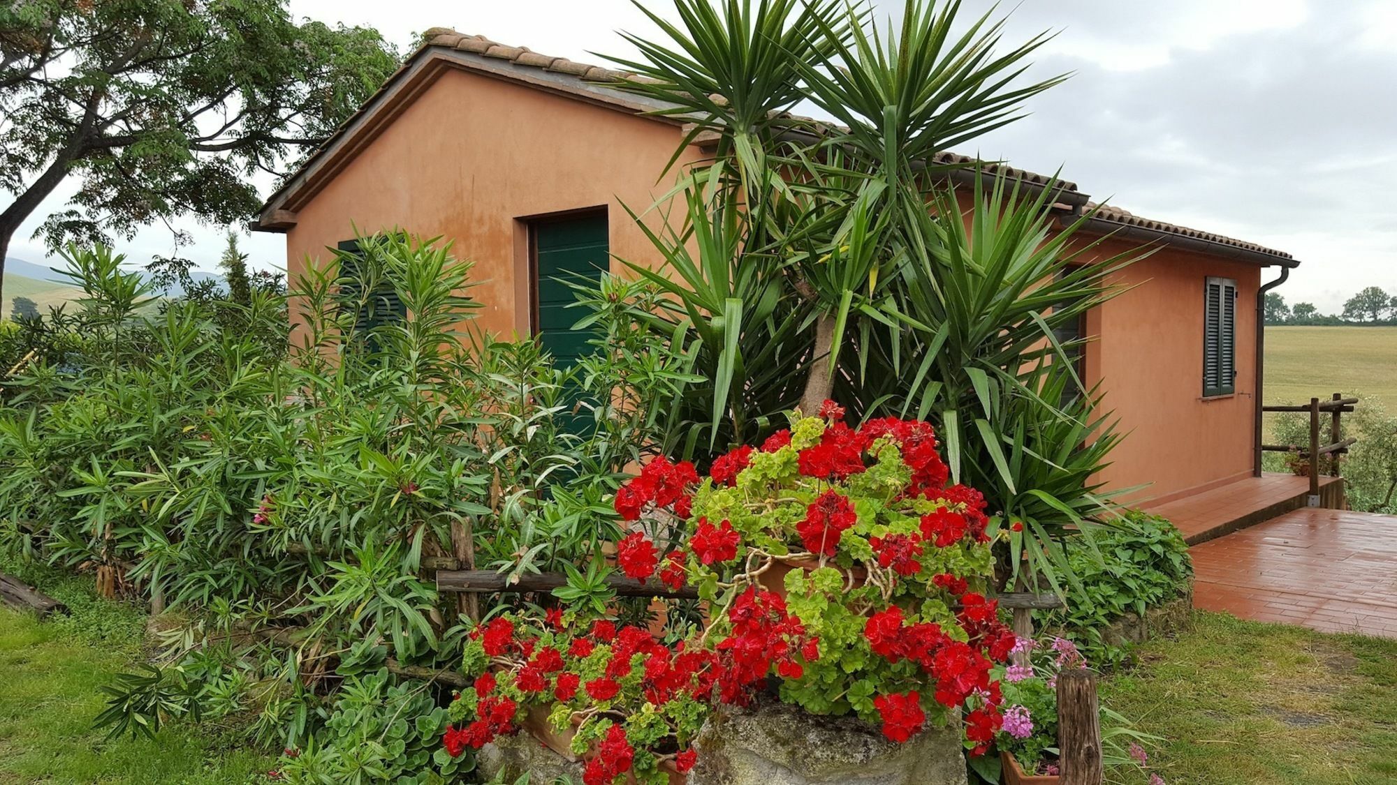 Il Giogo Agriturismo Розиняно Маритимо Екстериор снимка